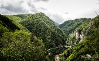 50 Burgruine Poienari 009