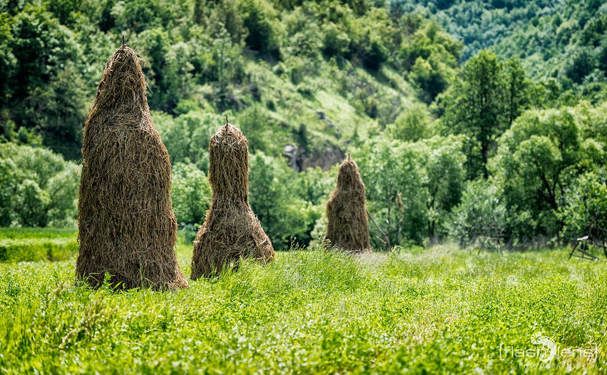1110 nach Viscri 003