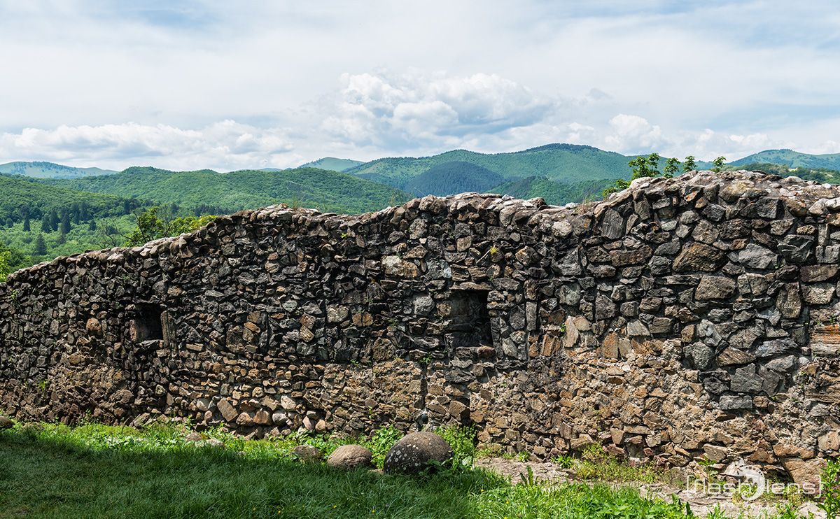 1137 Cisnadioara 003