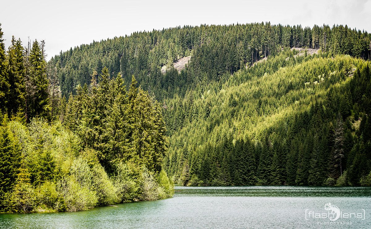 1170 Sinaia 002