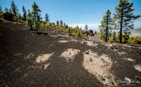 ErkundungsReise La Palma 043
