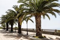 ErkundungsReise La Palma 075