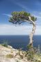 FotoReise Mallorca 2015 004