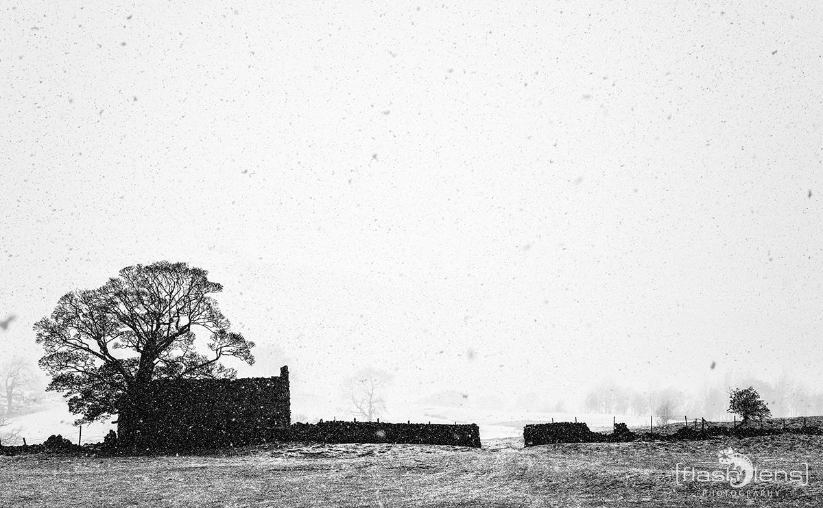 02 Yorkshire Dales 010