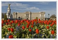 London 004