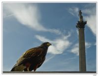 London 020