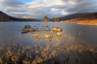 Schottland 2010 007