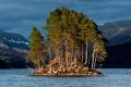 Schottland 2010 010