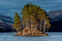 Schottland 2010 010
