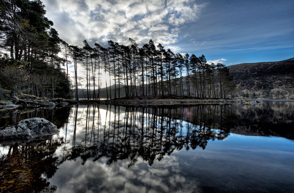 Schottland 2010 011