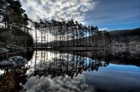 Schottland 2010 011