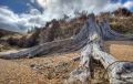 Schottland 2010 015