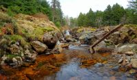 Schottland 2010 028