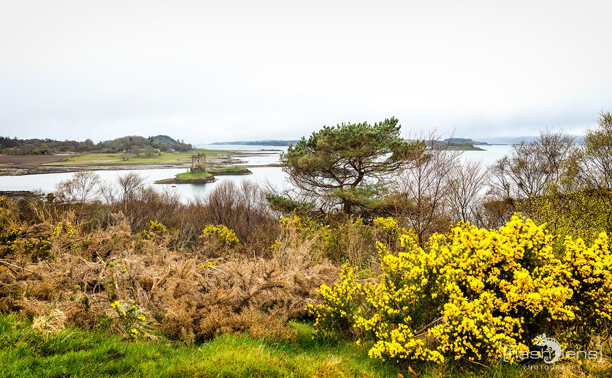 03 Ardnamurchan 003