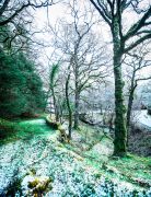03 Ardnamurchan 016