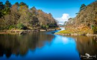 03 Ardnamurchan 017