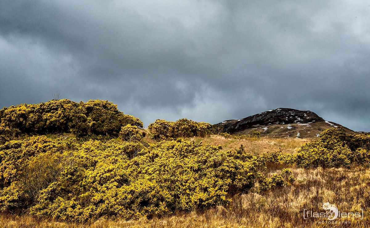 03 Ardnamurchan 029