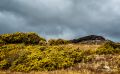 03 Ardnamurchan 029