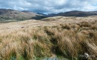 03 Ardnamurchan 031