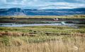 03 Ardnamurchan 038