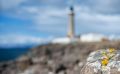 03 Ardnamurchan 046