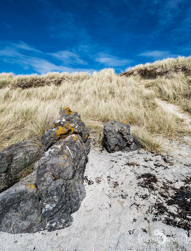 03 Ardnamurchan 059