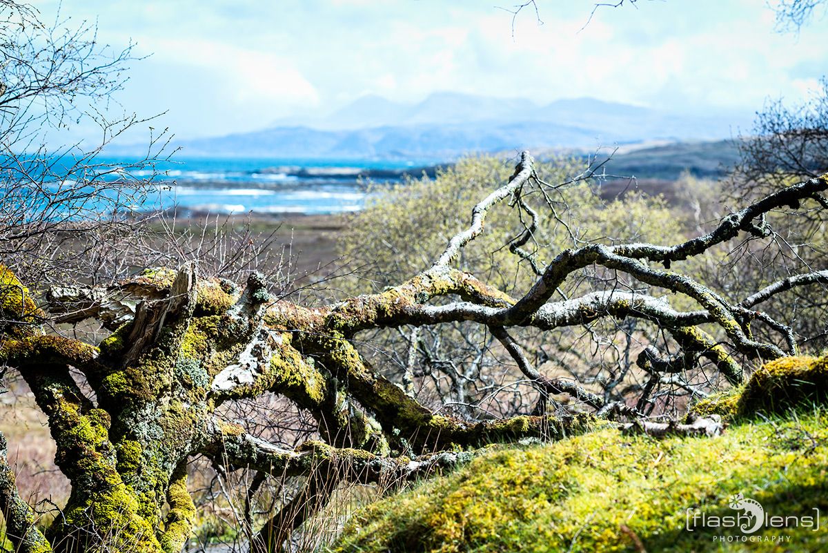 03 Ardnamurchan 068