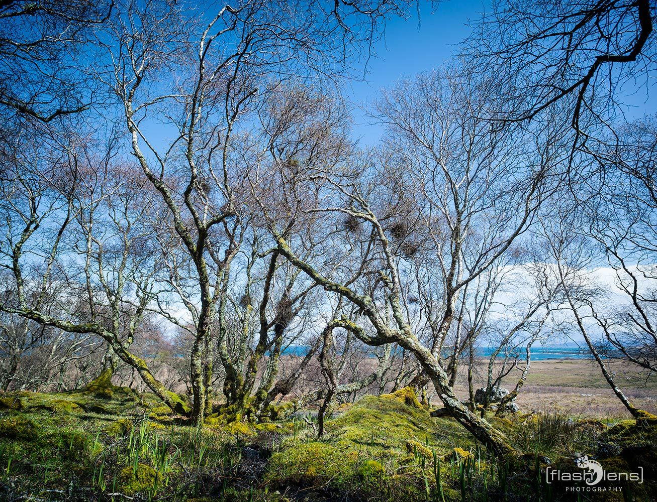 03 Ardnamurchan 069