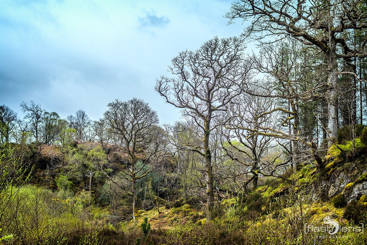 03 Ardnamurchan 070