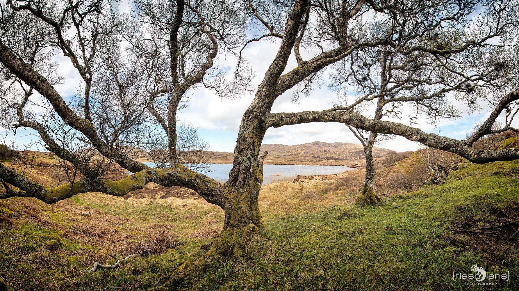 03 Ardnamurchan 071