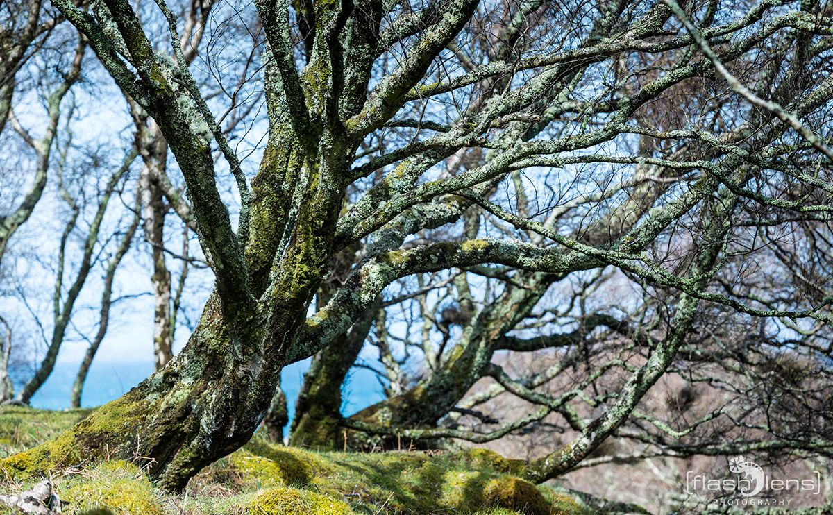 03 Ardnamurchan 072