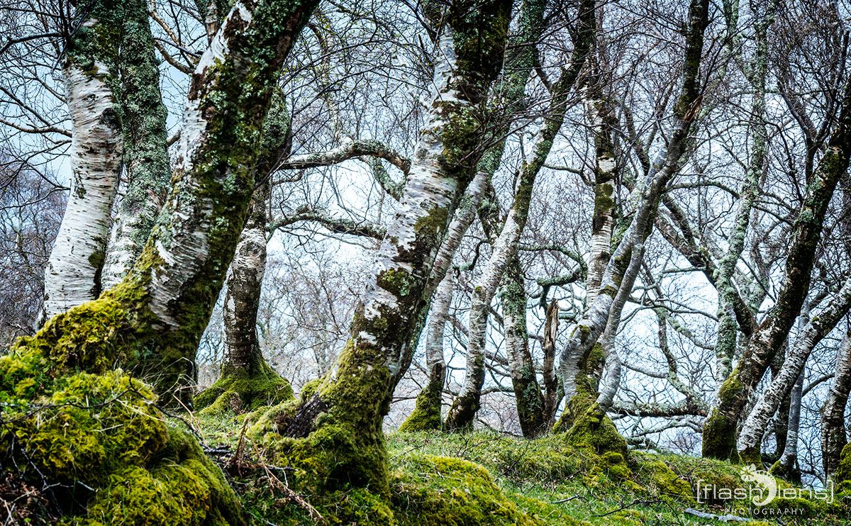 03 Ardnamurchan 073