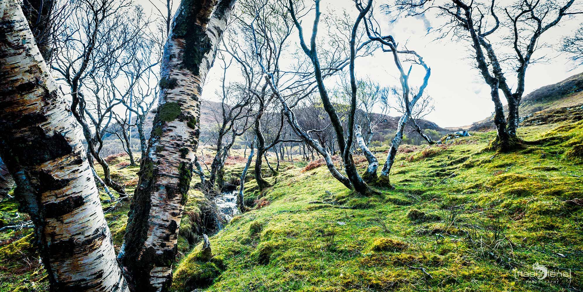 03 Ardnamurchan 074