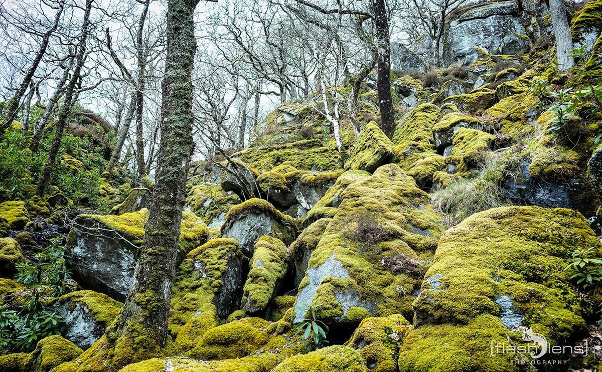 03 Ardnamurchan 078