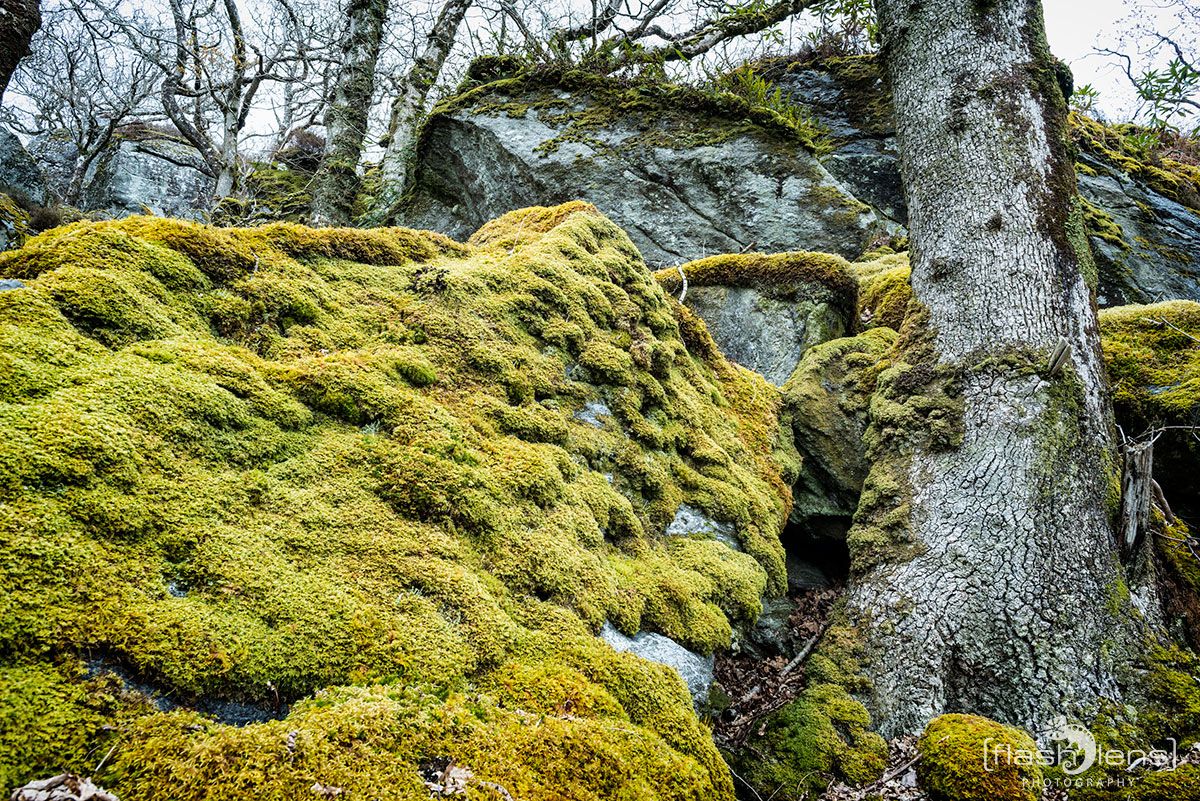 03 Ardnamurchan 079