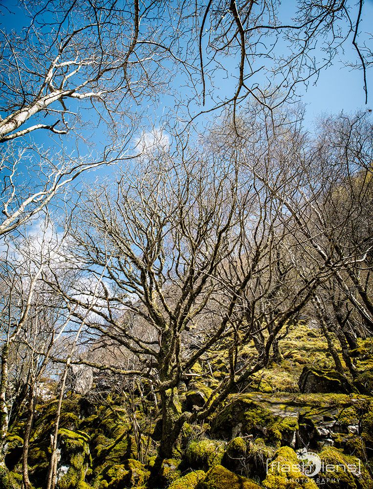 03 Ardnamurchan 080