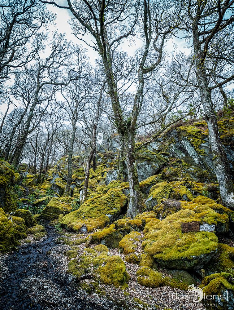03 Ardnamurchan 081