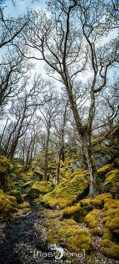 03 Ardnamurchan 082