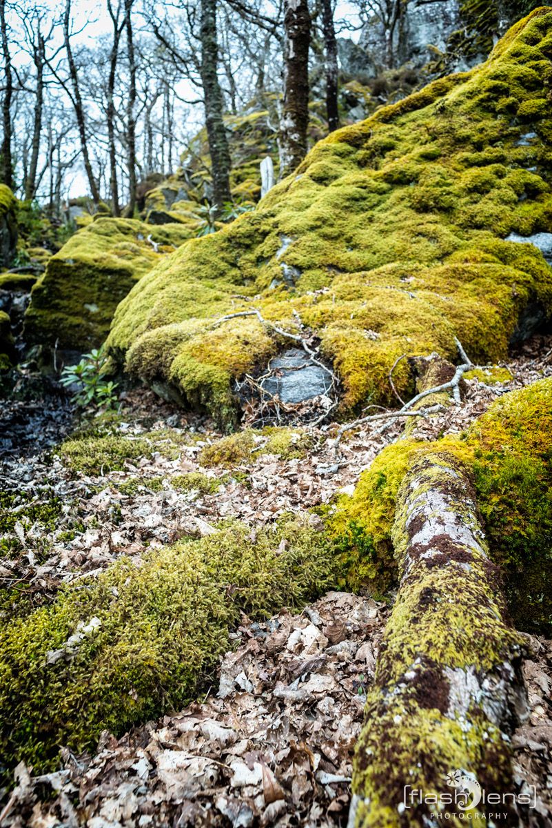 03 Ardnamurchan 084