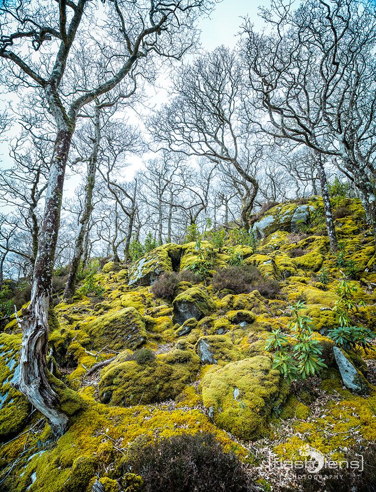 03 Ardnamurchan 086