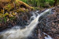 Schottland 2010 030