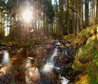 Schottland 2010 031