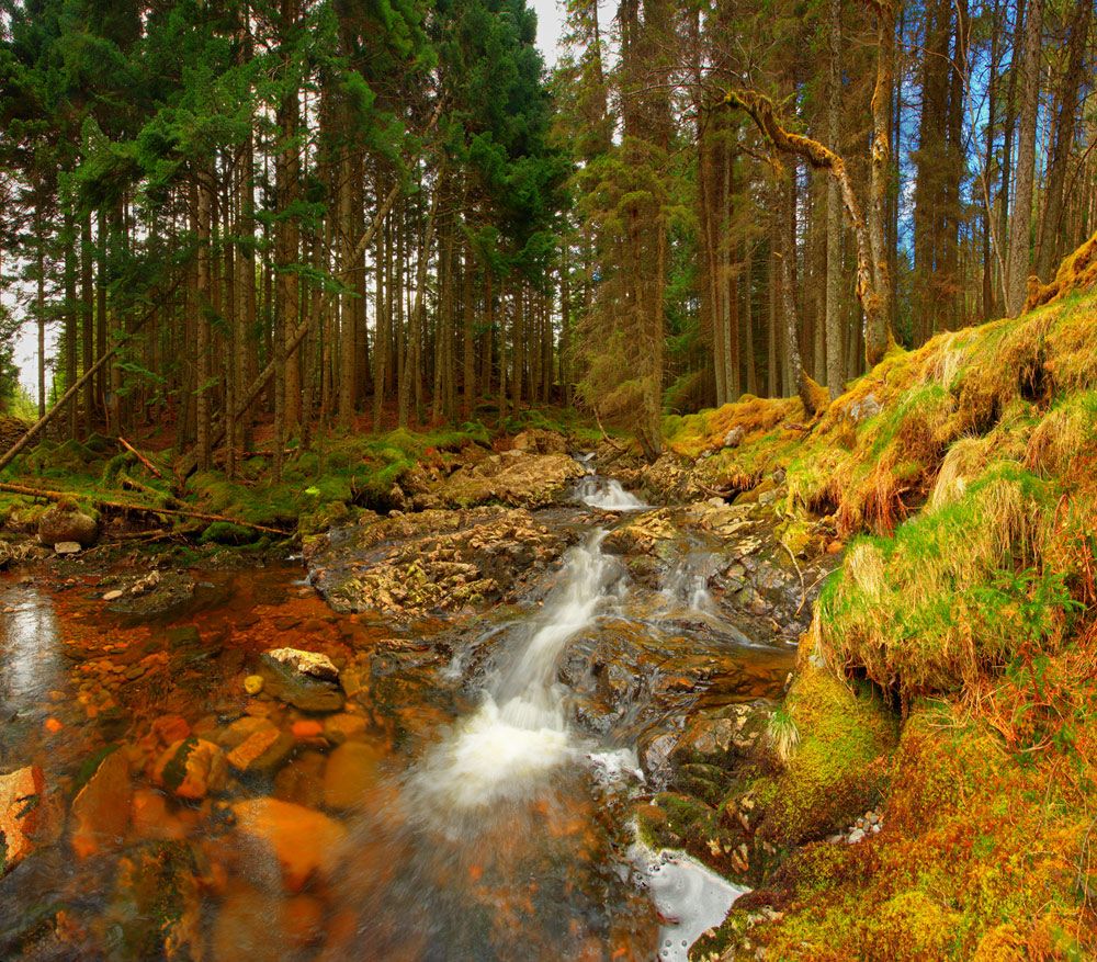 Schottland 2010 032