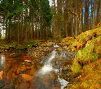 Schottland 2010 032