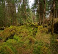 Schottland 2010 033