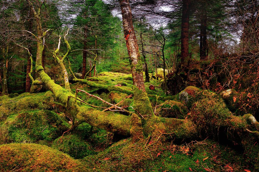 Schottland 2010 034