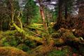 Schottland 2010 034