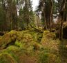 Schottland 2010 035