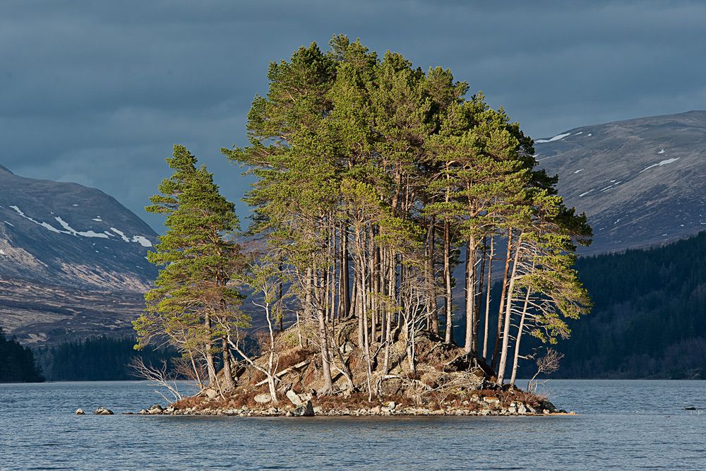 Schottland 2010 042