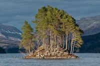 Schottland 2010 042